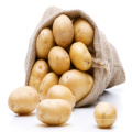 Novo produto, batata fresca, preço de venda de batata quente no mercado